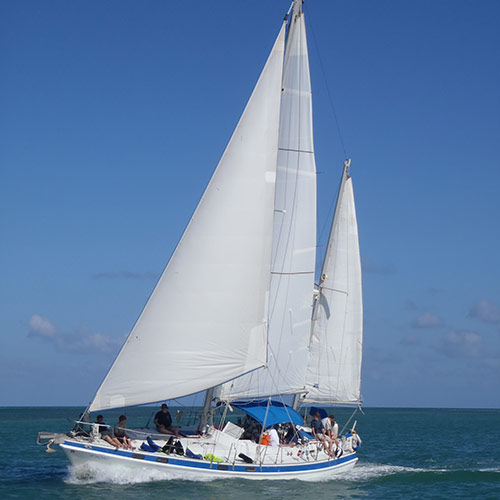eco-tours-Dunedin-clearwater-sailing-charter-cruises